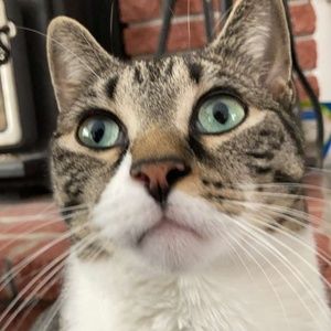 Meet your Posher, Shane